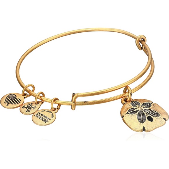 Alex and Ani Sand Dollar Charm Bangle Gold tone - Picture 1 of 8